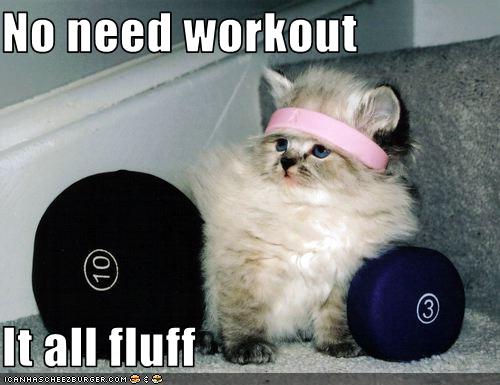 No need workout  It all fluff