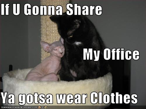 If U Gonna Share My Office Ya gotsa wear Clothes
