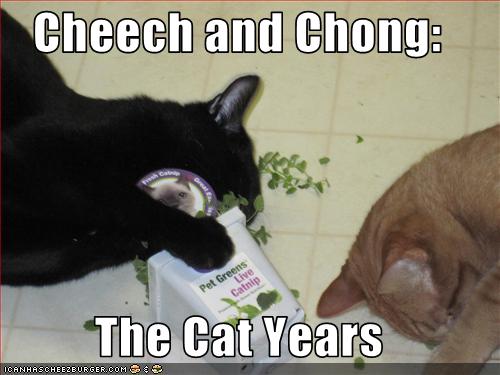 Cheech and Chong:  The Cat Years