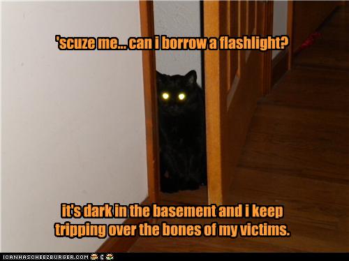 'scuze me... can i borrow a flashlight? 








it's dark in the basement and i keep 
tripping over the bones of my victims.