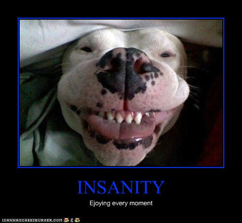 INSANITY