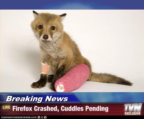 Breaking News - Firefox Crashed, Cuddles Pending