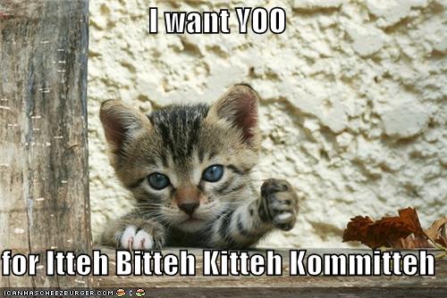 I want YOO  for Itteh Bitteh Kitteh Kommitteh