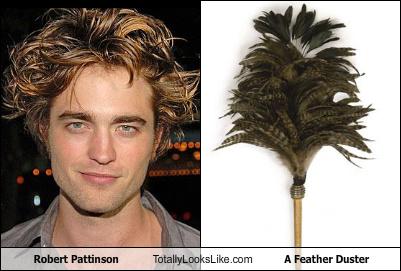 Robert Pattinson Totally Looks Like A Feather Duster