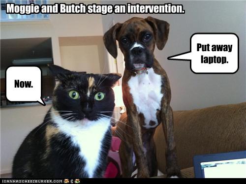 Moggie and Butch stage an intervention.