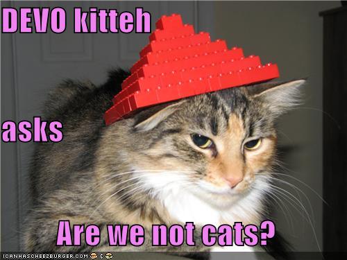 DEVO kitteh  asks Are we not cats?