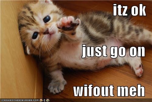itz ok just go on wifout meh