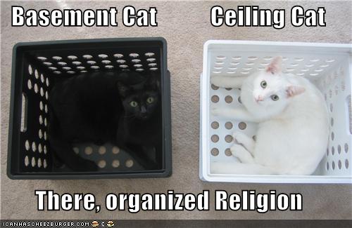 Basement Cat           Ceiling Cat  There, organized Religion
