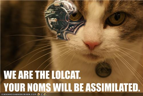 Lolborg