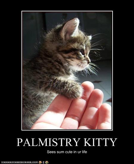 PALMISTRY KITTY