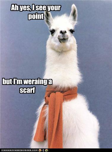 Alright! You've Convinced Me Mr. Llama!