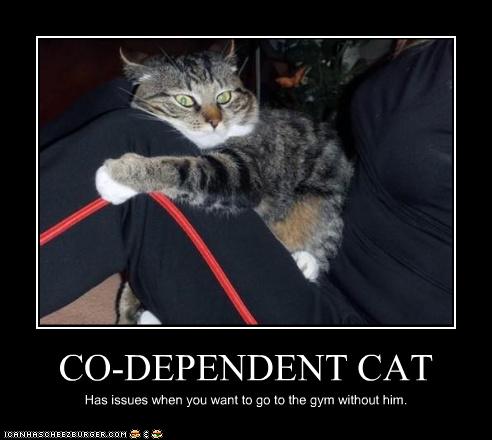 CO-DEPENDENT CAT