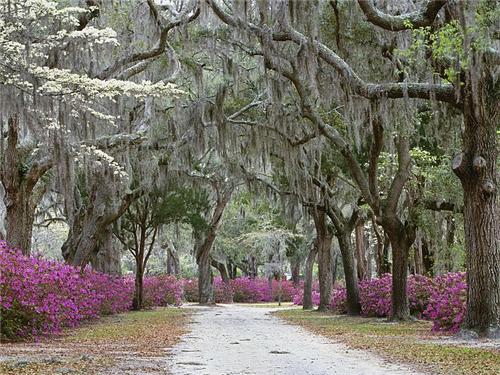 Springtime in Savannah, Georgia USA