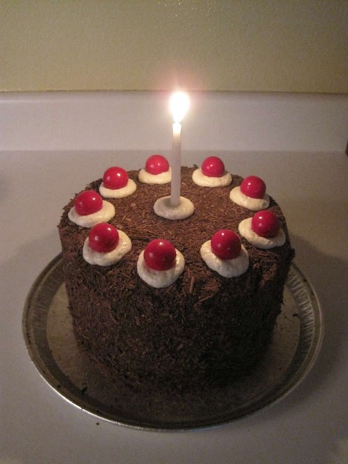 Portal Cake Recipe of the Day