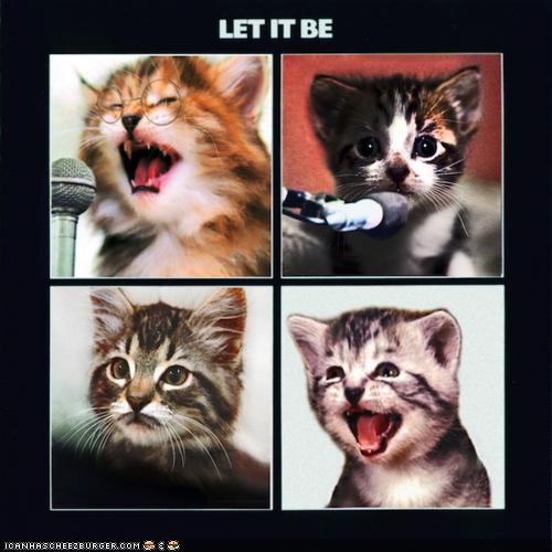 The Kitten Covers: A Journey Through Mewsic