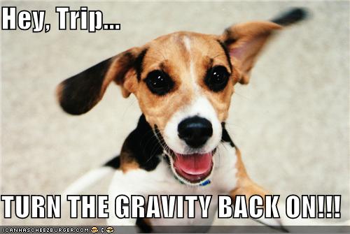Hey, Trip...  TURN THE GRAVITY BACK ON!!!