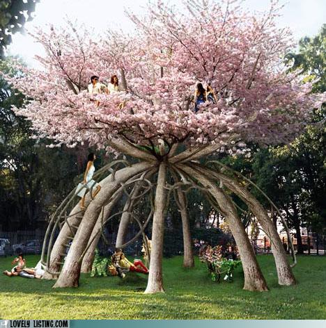 "Tree House" Get It?