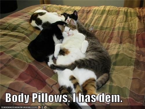 Body Pillows.