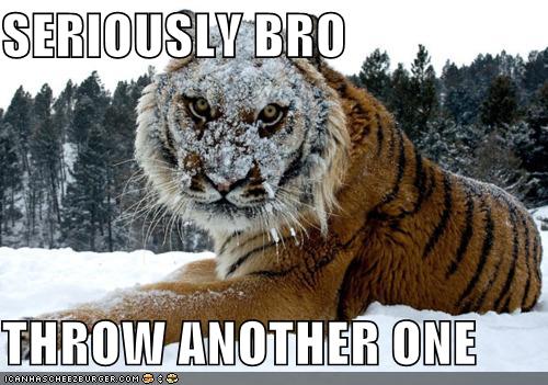 SERIOUSLY BRO