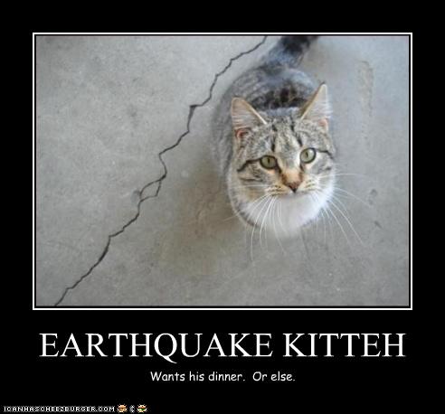 EARTHQUAKE KITTEH
