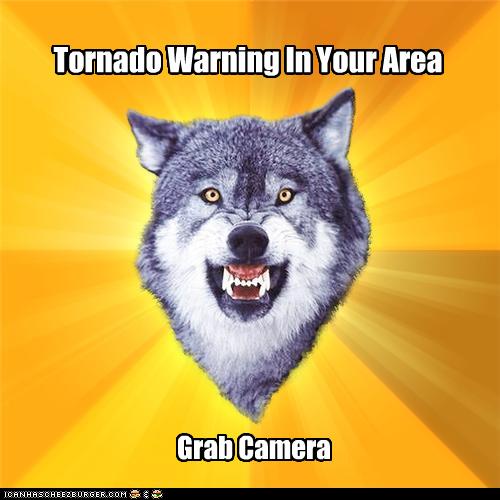 Courage Wolf: Tornado Warning