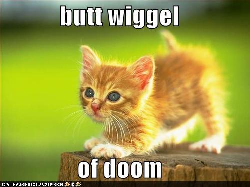 butt wiggel of doom..  will have to do till we can post old lols here