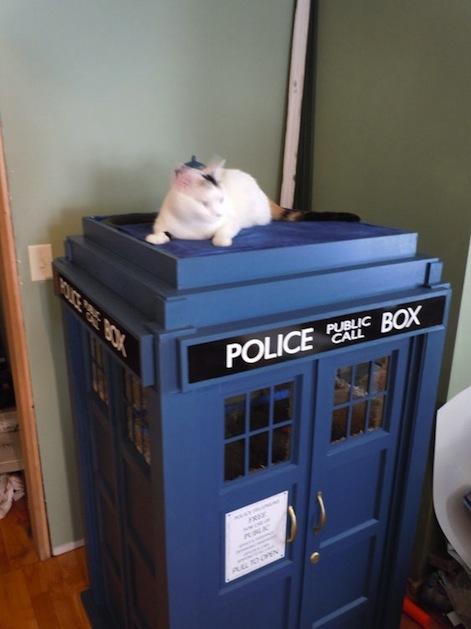 TARDIS Cat Playset of the Day