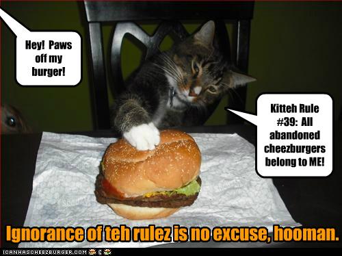 Kitteh Rule #39:  All abandoned cheezburgers belong to ME!