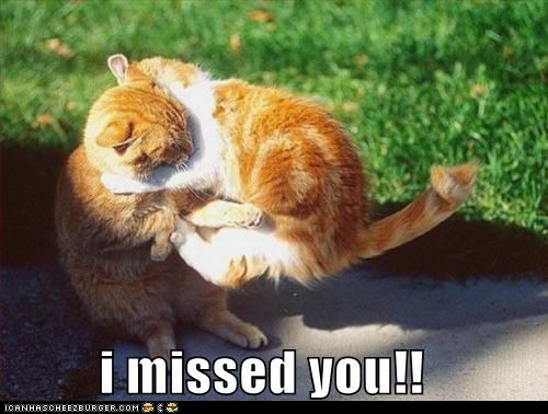 I missed you!