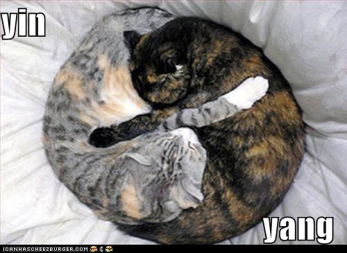 Yin Yang
