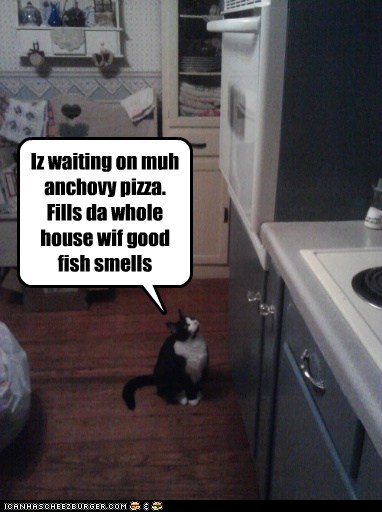 Iz waiting on muh anchovy pizza. Fills da whole house wif good fish smells