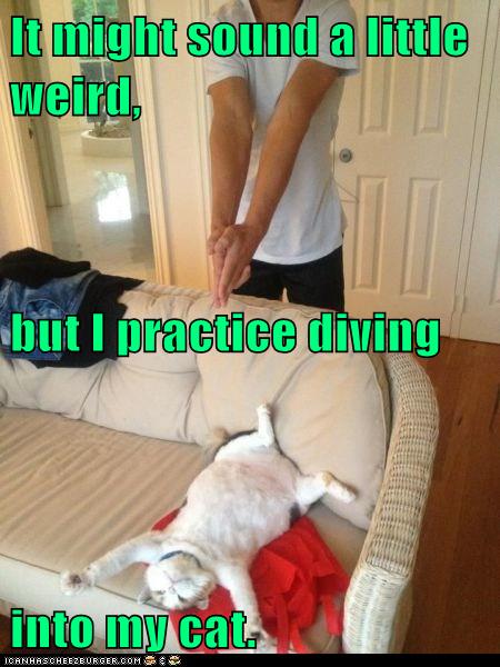 It might sound a little weird, but I practice diving into my cat.