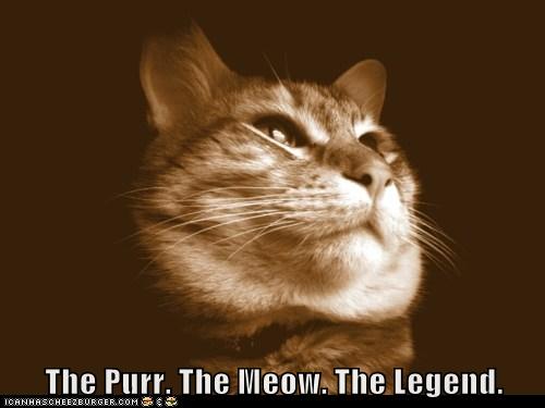 The Purr. The Meow. The Legend.