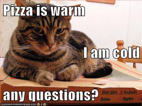 Pizza is warm