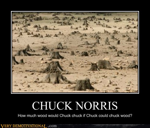 CHUCK NORRIS