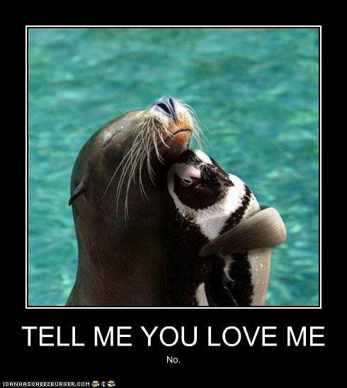 TELL ME YOU LOVE ME