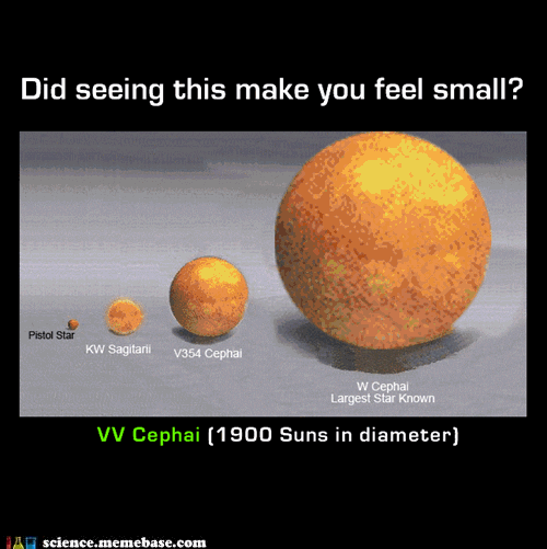 http://i.chzbgr.com/completestore/2012/2/8/ee2e3952-a1a9-41fd-a22c-d0986e51b04b.gif