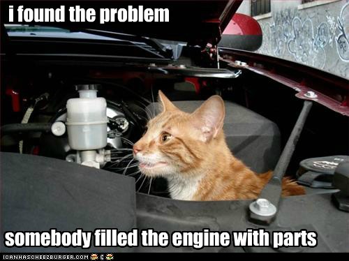 Lolcats: Ai Fownd teh Problum!
