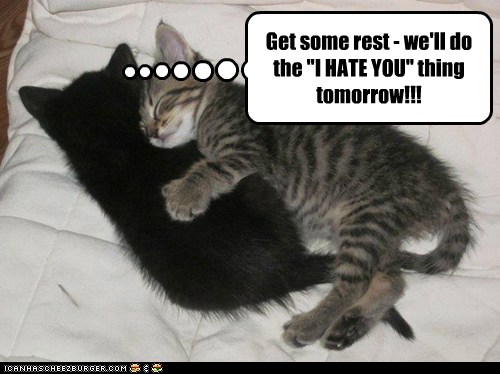 Get some rest - we'll do the "I HATE YOU" thing tomorrow!!!