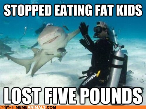 Animal Memes: Success Shark - Not Misunderstood Anymore Either