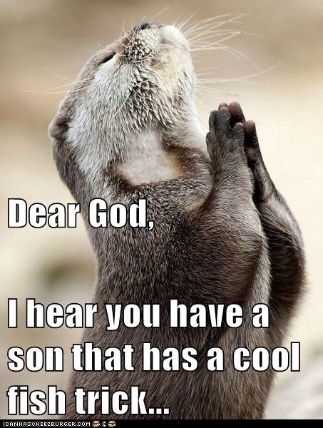 Animal Capshunz: Think You Could Do Your Otter A Solid?