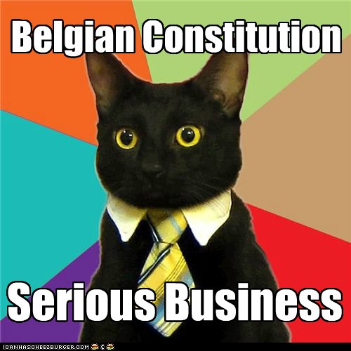 Belgian Constitution. Serious Business