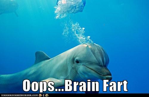 Animal Capshunz: Dumb Moment Dolphin
