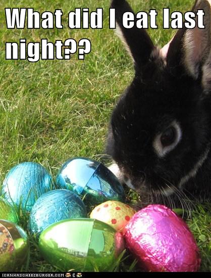 Animal Capshunz: Easter Must Be Confusing for Bunnies