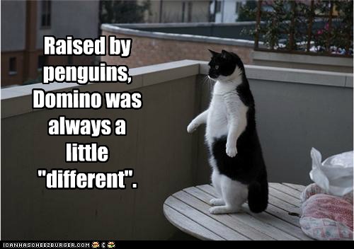 Lolcats: Raised by Penguins