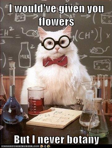 I would've given you flowers  But I never botany