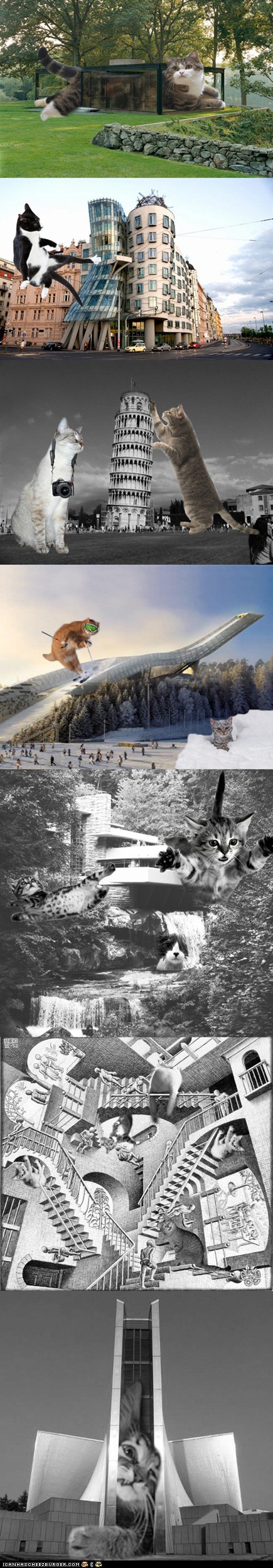 Furrocious Forms: LOLcats Descend on the World's Most Famous Architecture