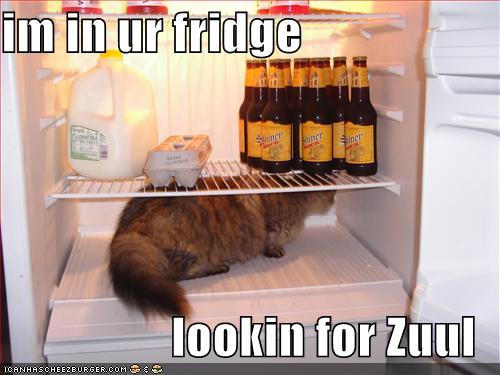 im in ur fridge  lookin for Zuul