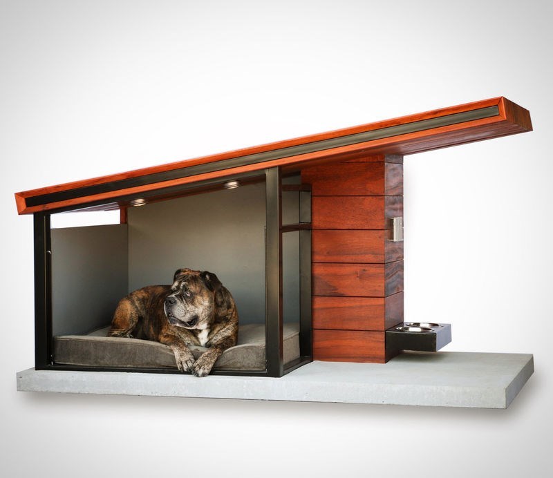 modern dog cage