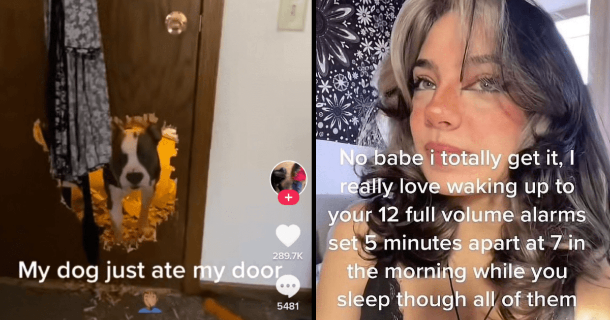 The Most Entertaining Takes From Tiktok This Week August